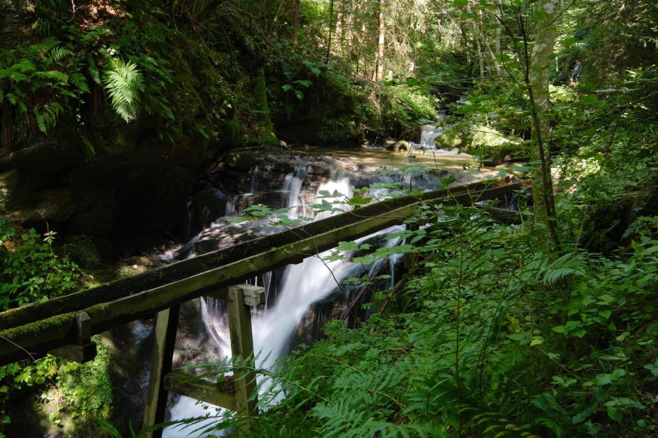 Erlebnisbauernhof Steinerhof In Kaernten Liebenfels Экстерьер фото